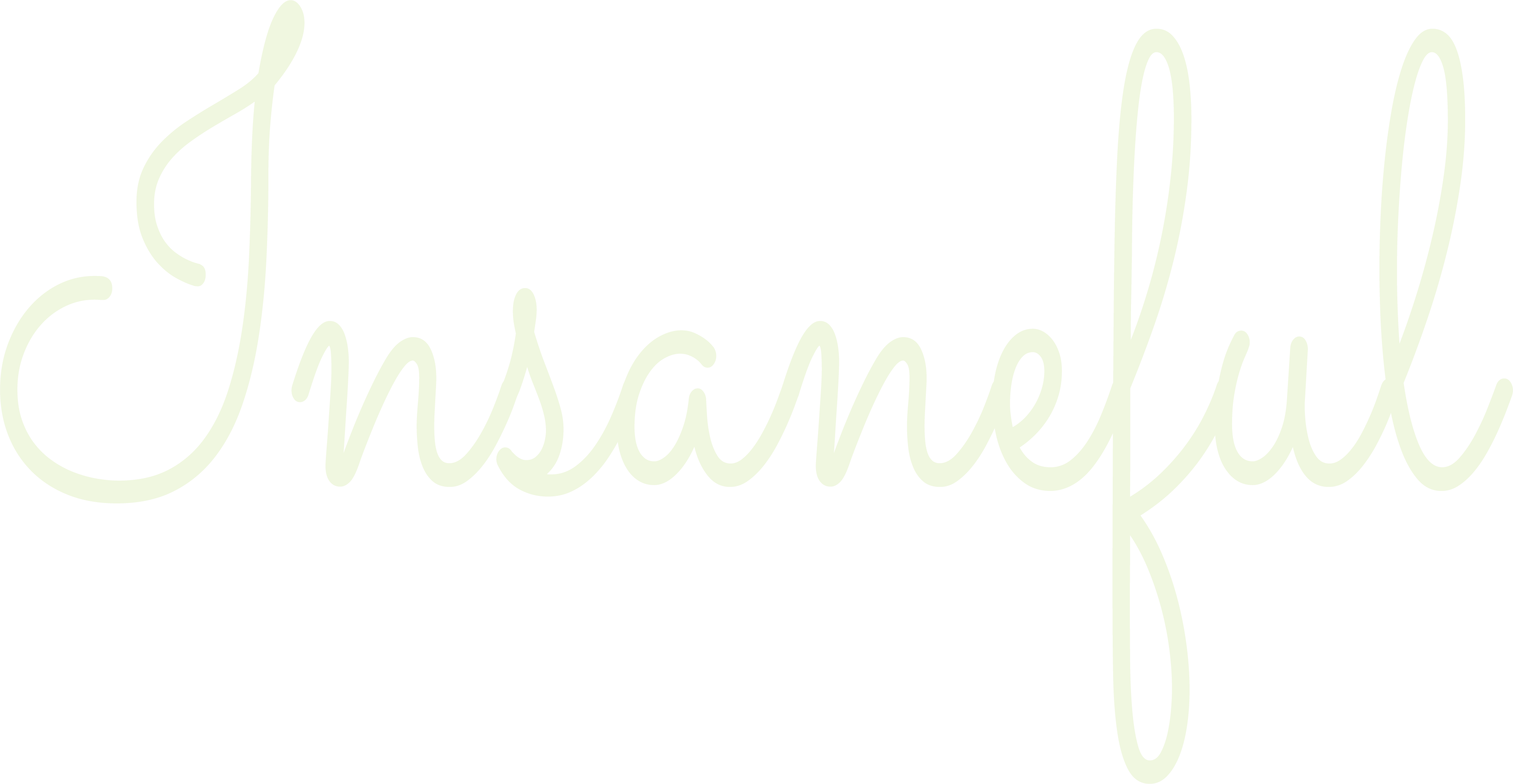 Insaneful brand logo – women’s western wear label offering colorful dresses, tops, and co-ords designed to celebrate confidence and style.